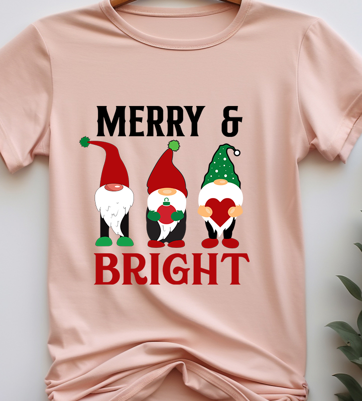 Happy Pawlidays - Christmas - DTF Transfer