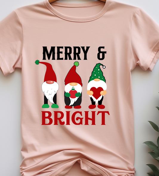 Happy Pawlidays - Christmas - DTF Transfer