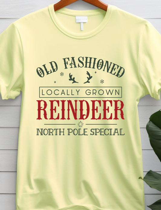 Old Fashioned Reindeer- Christmas - DTF Transfer