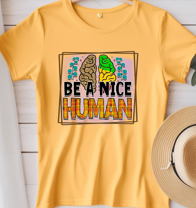 Be a nice human - Mental Health - DTF Transfer