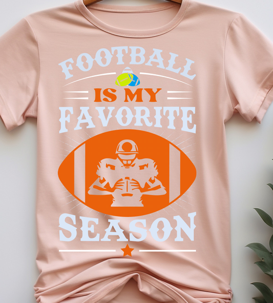 Favorite season - Football - DTF Transfer