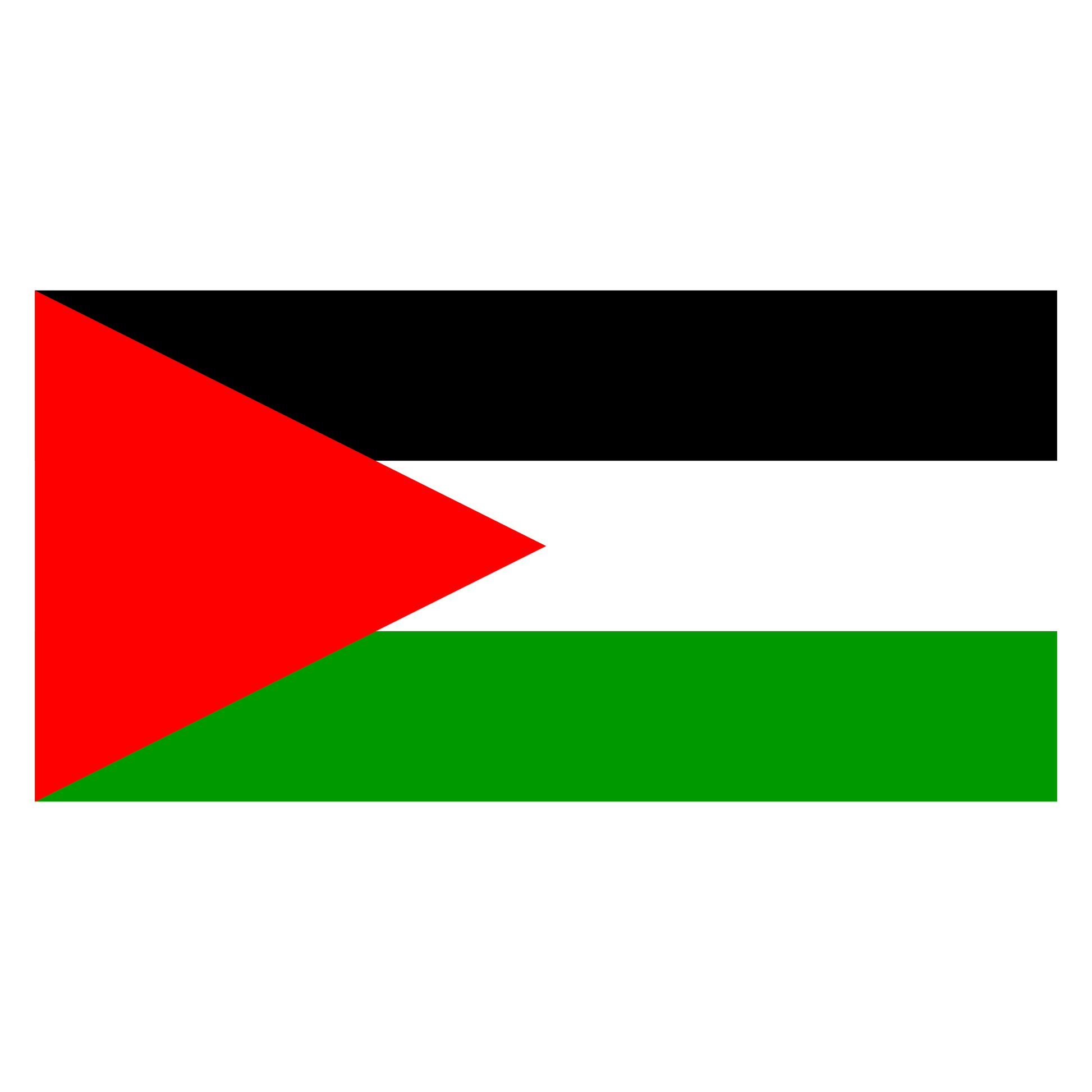 palestine-flag