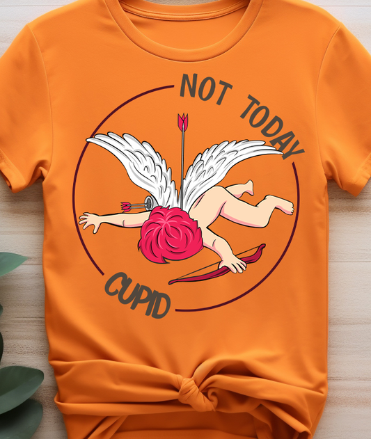 Not today cupid - Valentine’s Day - DTF Transfer